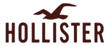 Hollister logo